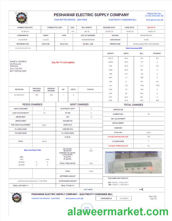 PAKISTAN PESHAWAR ELECTRIC SUPPLY COMPANY utility bill Word and PDF template